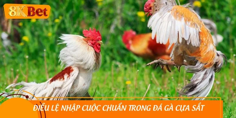 Điều lệ nhập cuộc chuẩn trong đá gà cựa sắt