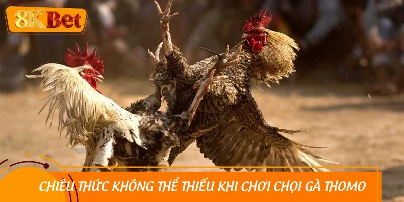 Chiêu thức không thể thiếu khi tham gia đá gà Thomo