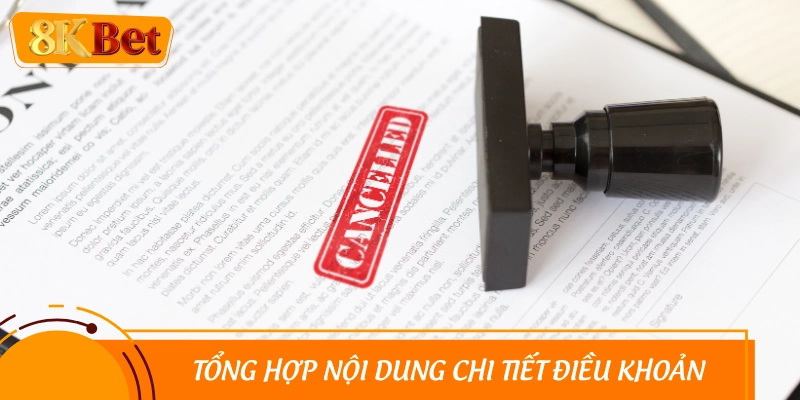 Người mới nên thực hiện đúng chính sách nhà cái đề ra